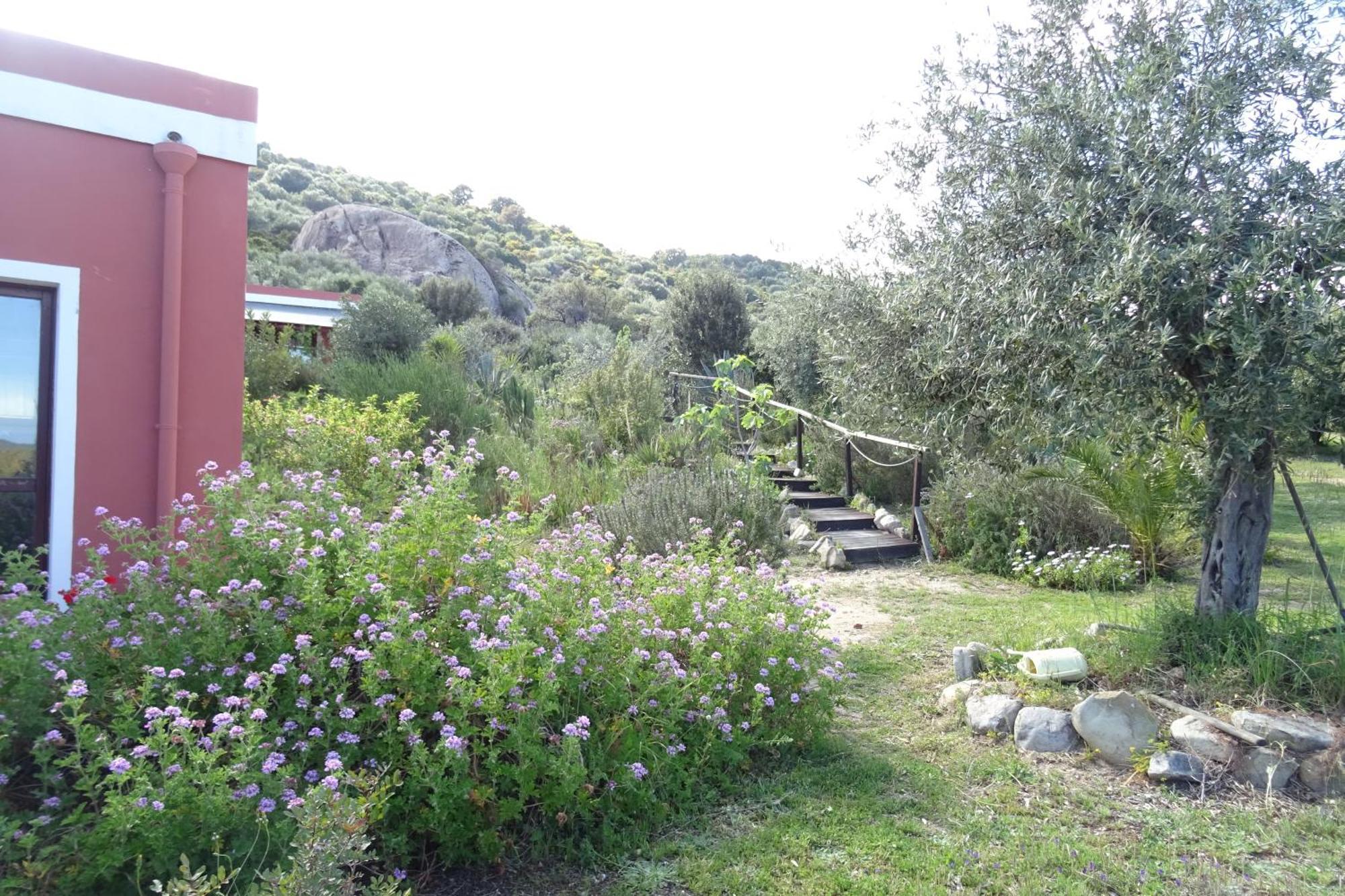 B&B Casa Per Ferie Villaggiocarovana Castiadas Ngoại thất bức ảnh