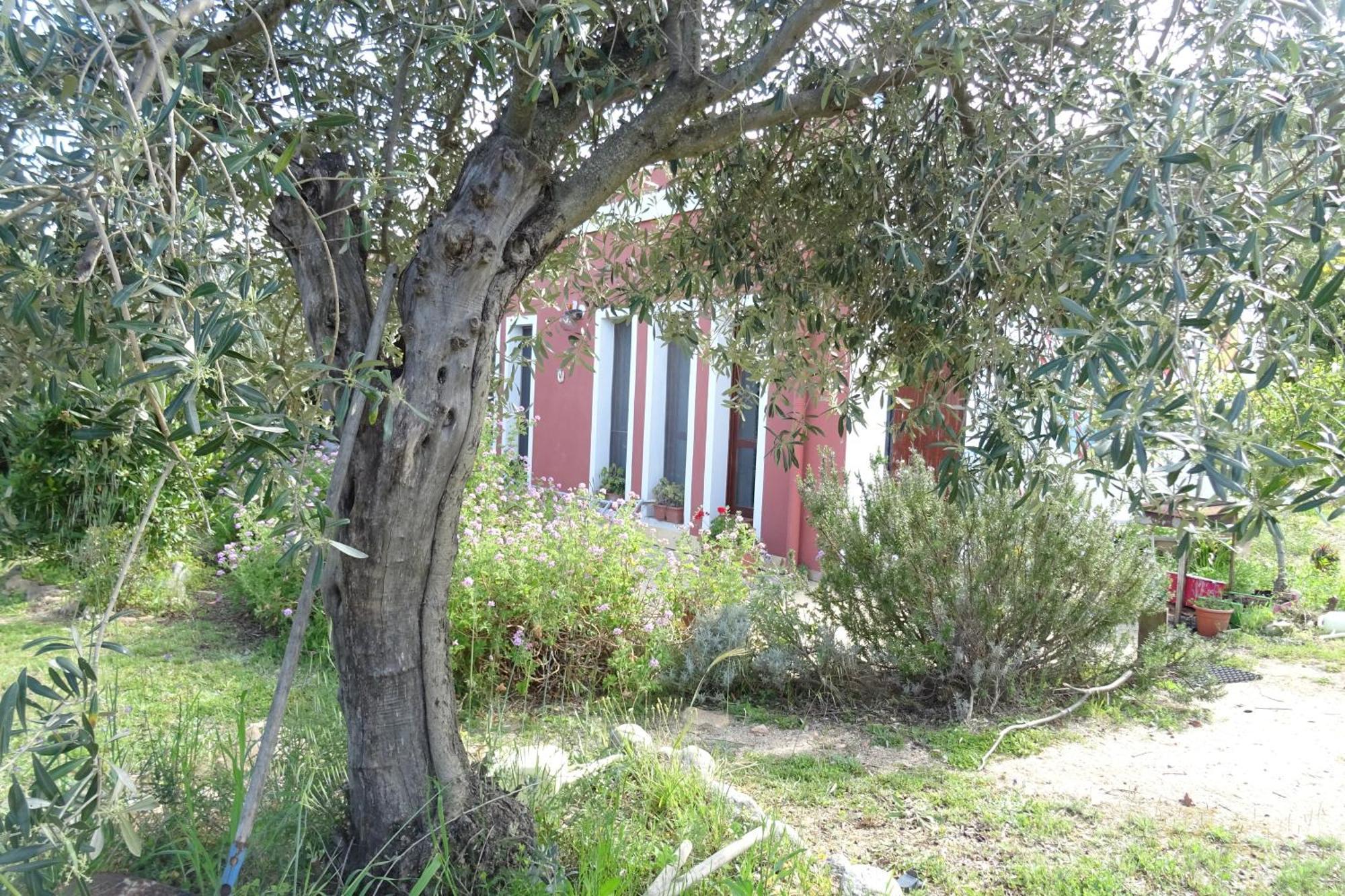 B&B Casa Per Ferie Villaggiocarovana Castiadas Ngoại thất bức ảnh